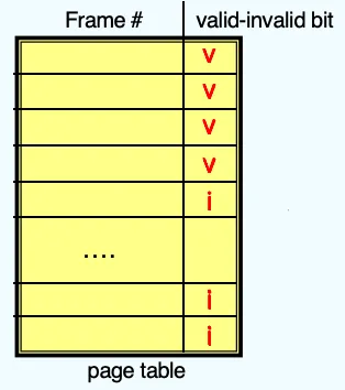 image-20251118200513457